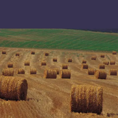 Role of Big Data