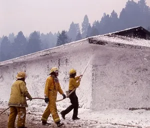 Polymers Spray Foam