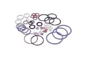O Ring Seals