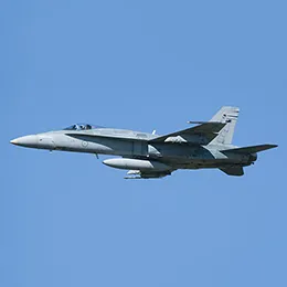 Classic Hornet