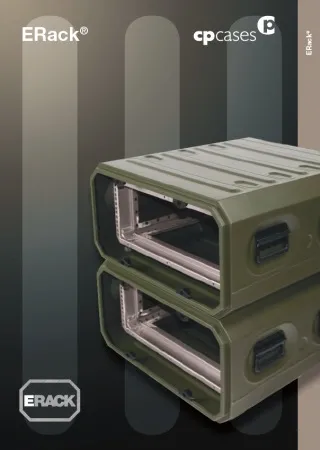 Erack-v2-3