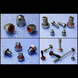 Sealing Screws