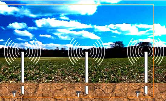 Wireless Sensor Network System