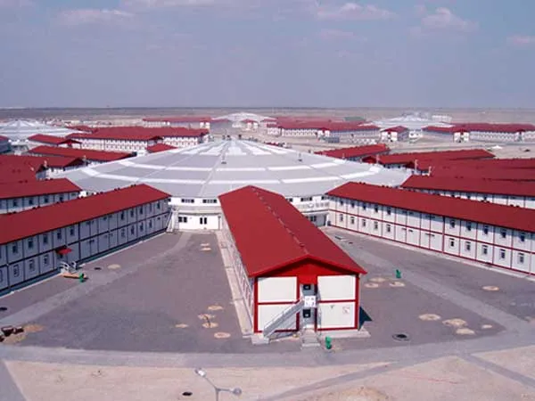 Panelized System Buildings